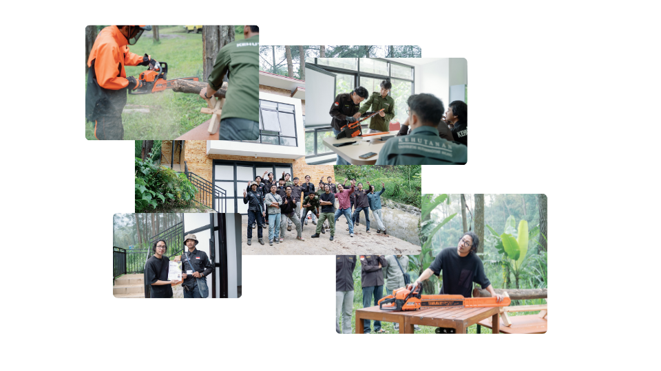 forestry_image_collage